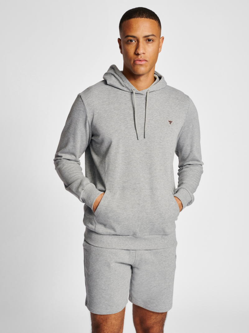 hmlIC FRED HOODIE