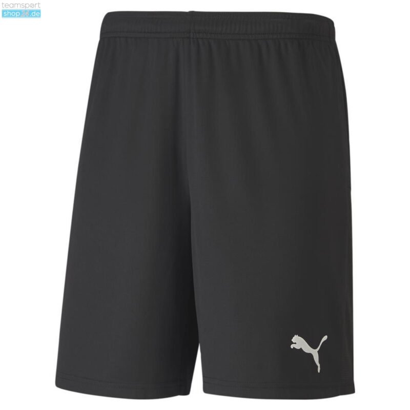 Puma TeamGOAL 23 Knit Short SR