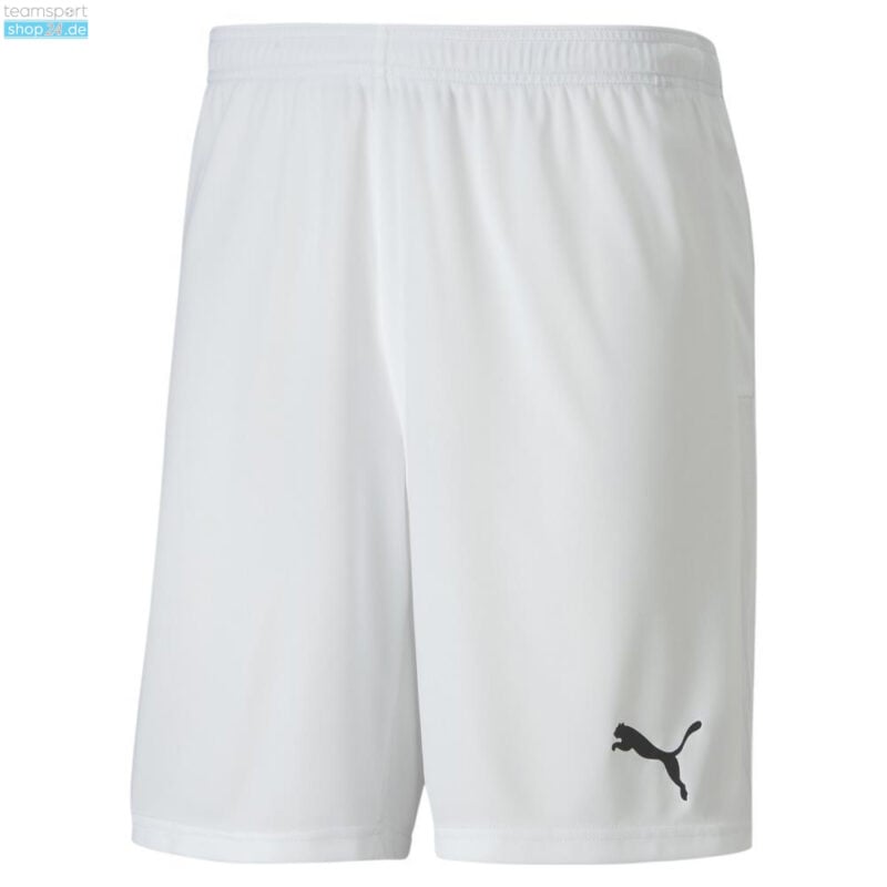 Puma TeamGOAL 23 Knit Short SR